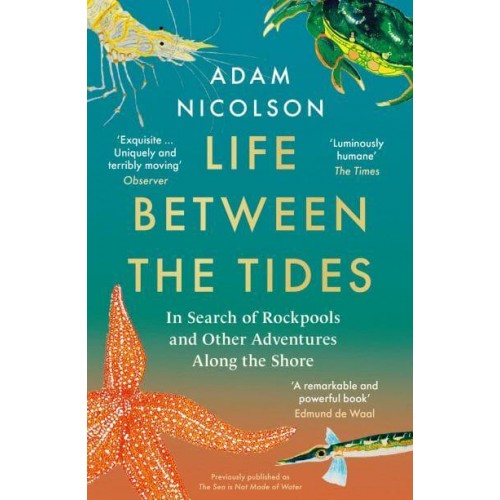Life Between the Tides In Search of Rockpools and Other Miracles