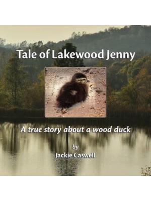 Tale of Lakewood Jenny: A true story about a wood duck