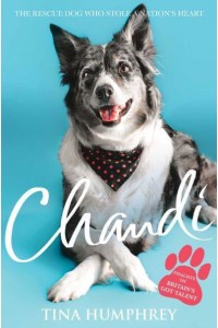 Chandi: The Rescue Dog Who Stole a Nation's Heart