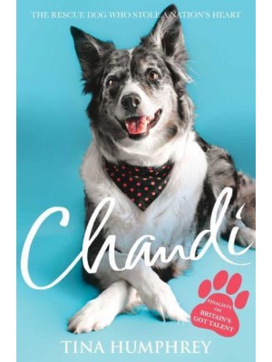 Chandi: The Rescue Dog Who Stole a Nation's Heart