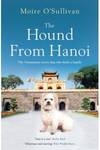 The Hound from Hanoi The Vietnamese Street Dog Who Built a Family