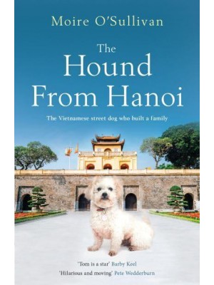 The Hound from Hanoi The Vietnamese Street Dog Who Built a Family