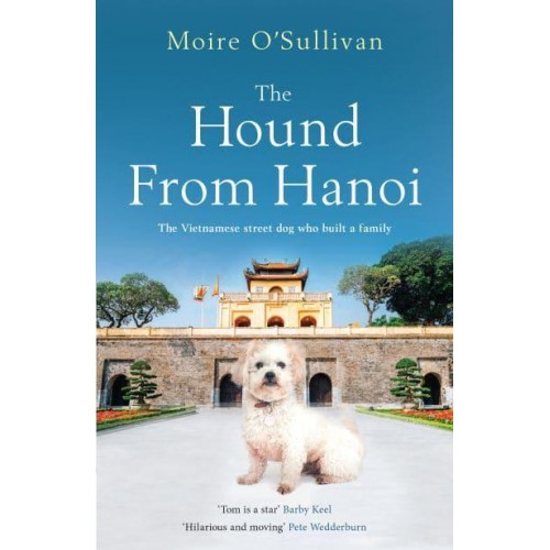 The Hound from Hanoi The Vietnamese Street Dog Who Built a Family
