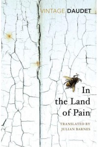 In the Land of Pain