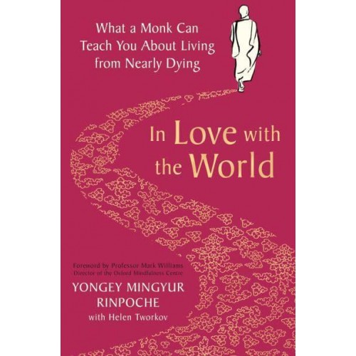 In Love With the World What a Monk Can Teach You About Living from Nearly Dying