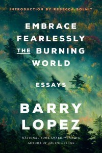 Embrace Fearlessly the Burning World Essays